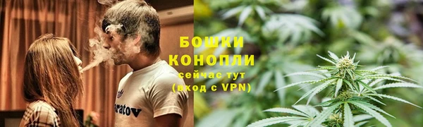 ПСИЛОЦИБИНОВЫЕ ГРИБЫ Арсеньев