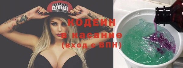 ПСИЛОЦИБИНОВЫЕ ГРИБЫ Арсеньев