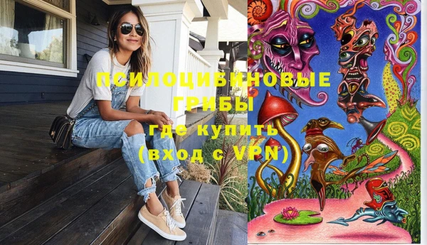 ПСИЛОЦИБИНОВЫЕ ГРИБЫ Арсеньев