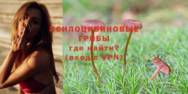 прущий лед Армянск