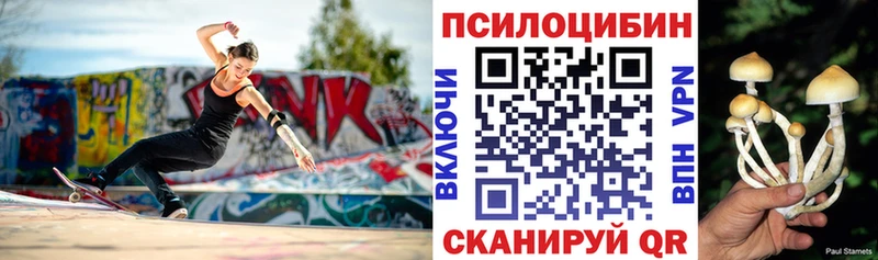 сколько стоит  Новомичуринск  Галлюциногенные грибы Magic Shrooms 