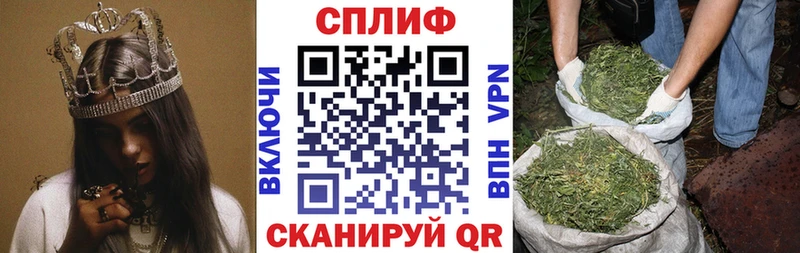 MEGA ссылка  Новомичуринск  Бошки марихуана тримм 